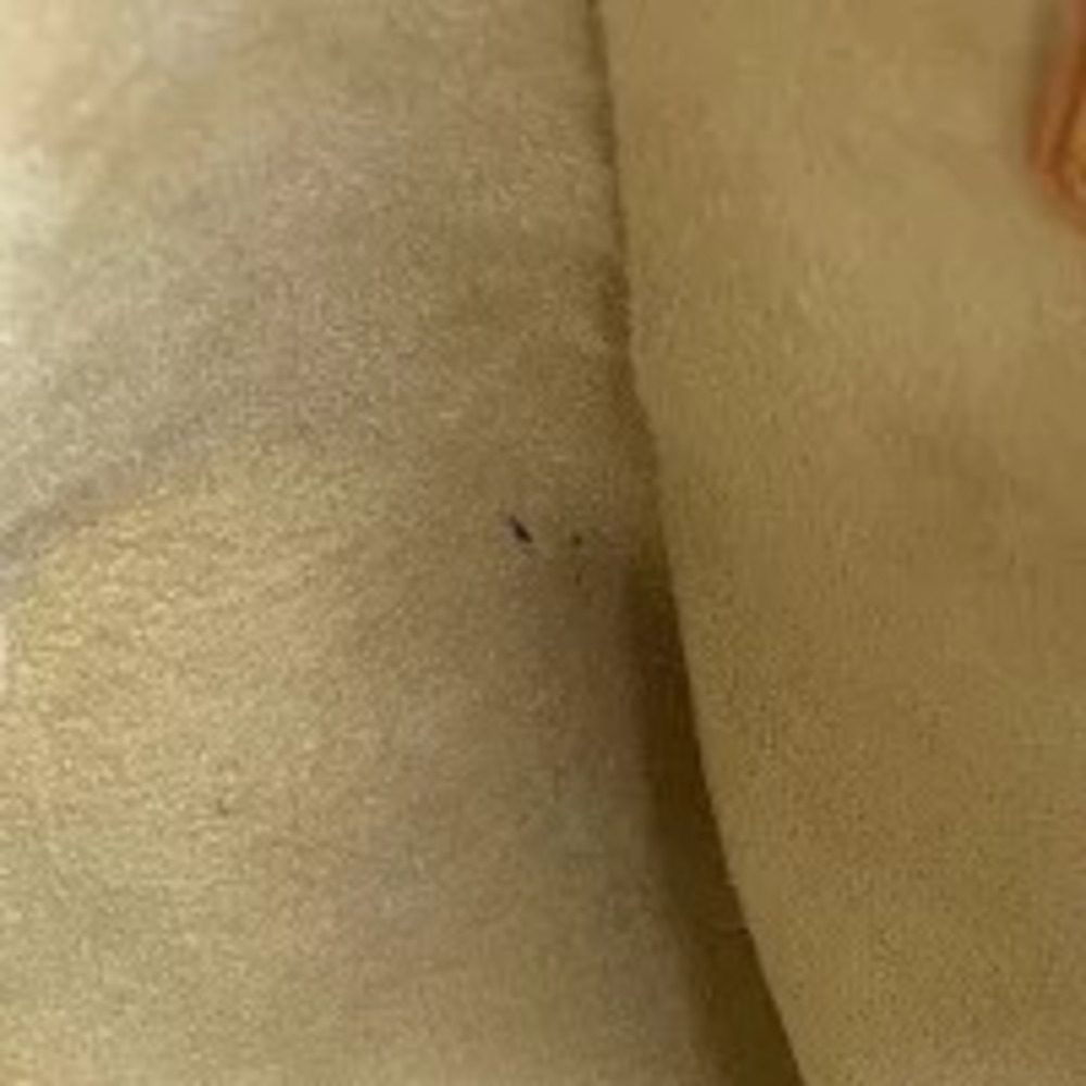 Louis Vuitton Looping Shoulder Bag Monogram Brown - Picture 5 of 6